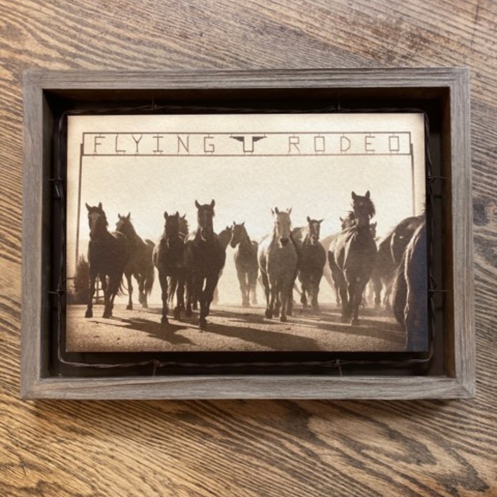 David Stoecklein Flying Rodeo Shadowbox Wall Art!!